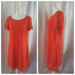 MAGGY BARNES Orange Lace DRESS